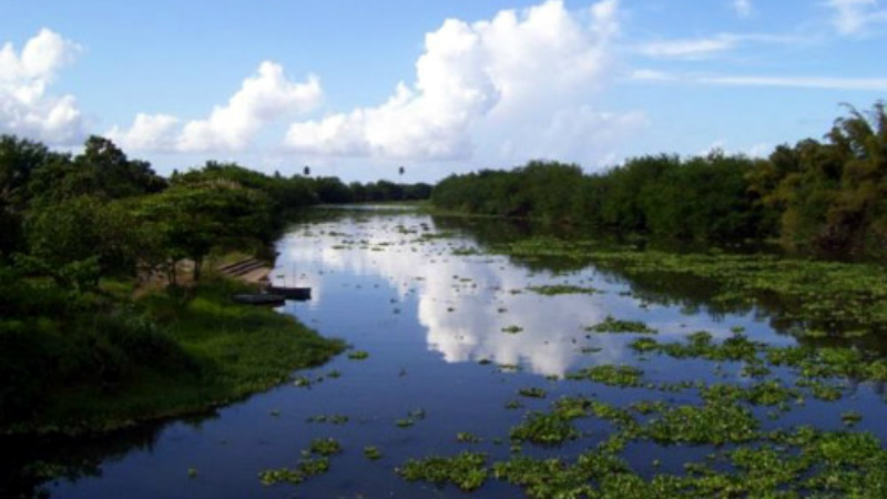 Biotech and pharmaceutical hub in Puerto Rico